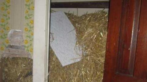 Westerchester House - IMG_3265.jpg