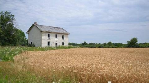 July 2016 - DSC_0153.jpg