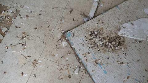 July 2016 - DSC_0157.jpg