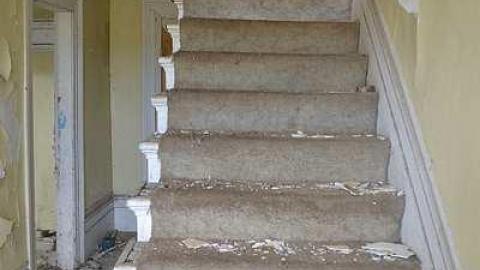 July 2016 - DSC_0159.jpg