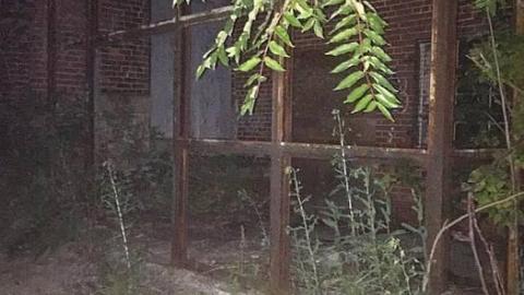 Century Manor  - Century-Manor-Asylum362.jpg