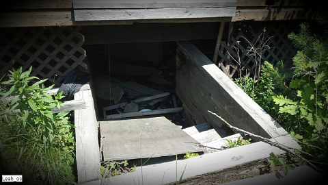 Abandoned Lodge - Bangor-Lodge28.png