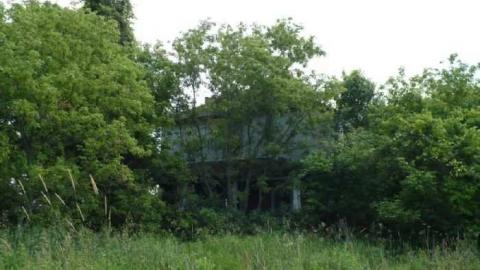 Photo from Rotten house