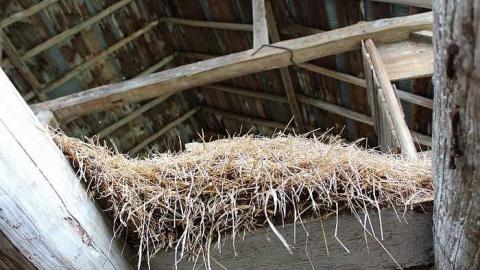 Quick Stop - Bells-Corners-Barn43.jpg