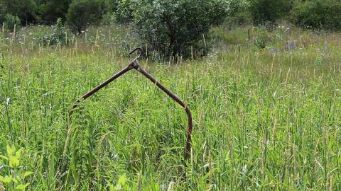 Quick Stop - Bells-Corners-Barn48.jpg