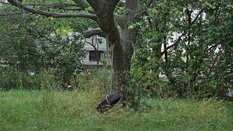 July 2016 - DSC_6052.jpg