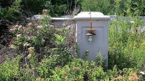 July 2016 - Wedded-Bliss2.jpg