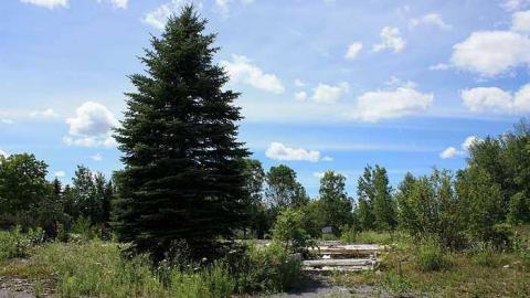 Wedded Bliss photo 4