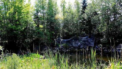 Wedded Bliss photo 5