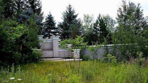 July 2016 - Wedded-Bliss13.jpg