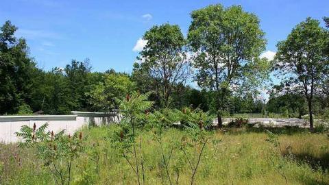 Wedded Bliss - Ottawa, Ontario