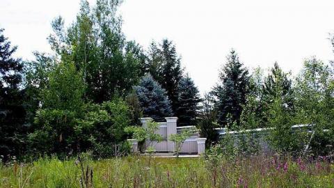 Wedded Bliss photo 2