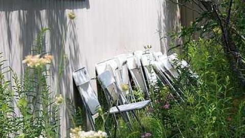 July 2016 - Wedded-Bliss8.jpg