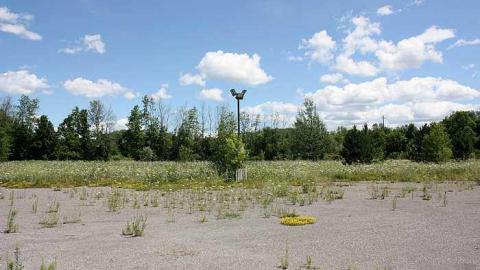 July 2016 - Wedded-Bliss10.jpg