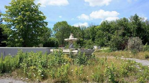 July 2016 - Wedded-Bliss18.jpg