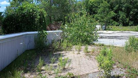 July 2016 - Wedded-Bliss11.jpg