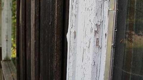 Fossil Fuels photo 3