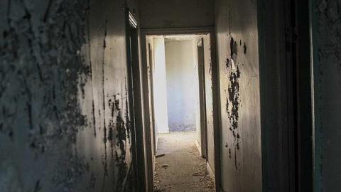 July 2016 - p-MILTON1910-5.jpg