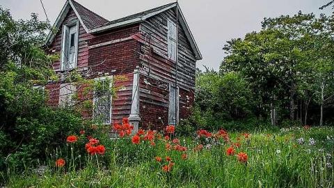 Old Red House cover photo