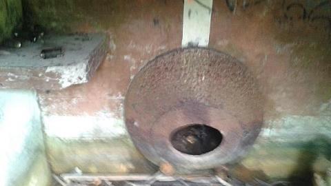 my day out - Graydon-Hall-Pumphouses33.jpeg