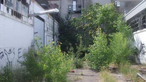 factory - McCormicks-Biscuit-Factory327.jpg