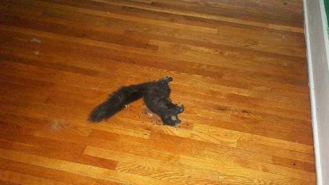 2891 apts - 112_0978.jpg