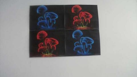 2891 apts - DSCF3599.jpg