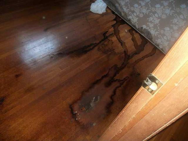 Apartments - Windsor, Ontario