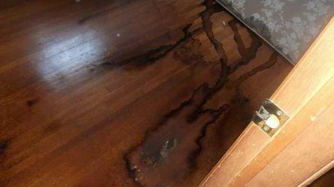 2891 apts - DSCF3602.jpg