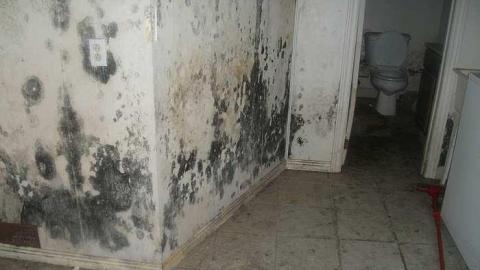 frat house - DSCF3541.jpg