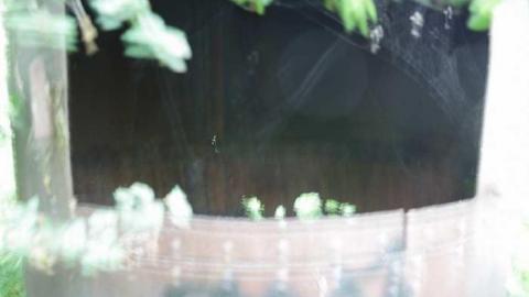 Photo from whats left