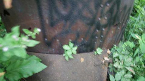 whats left - Port-McNicoll-Elevators39.jpg