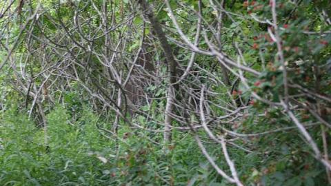 Photo from whats left