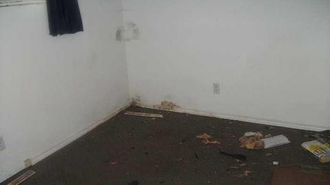 House 352 of Abandoned Street - Windsor, Ontario