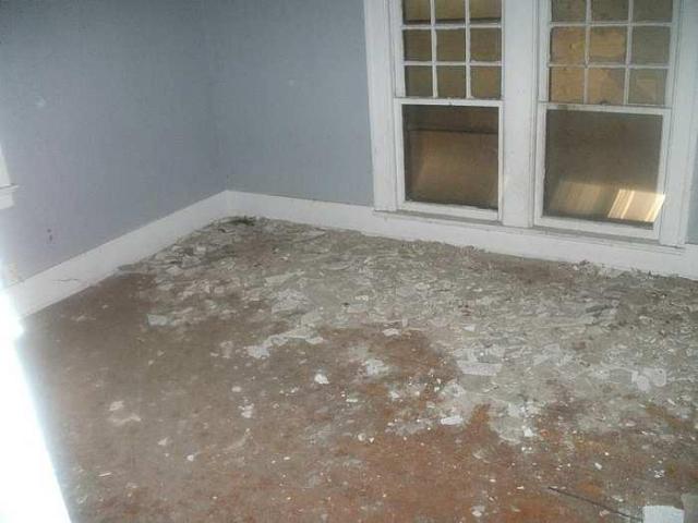 House 352 of Abandoned Street photo 4