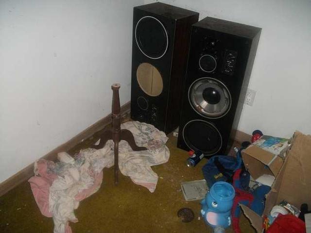 778 House - Windsor, Ontario