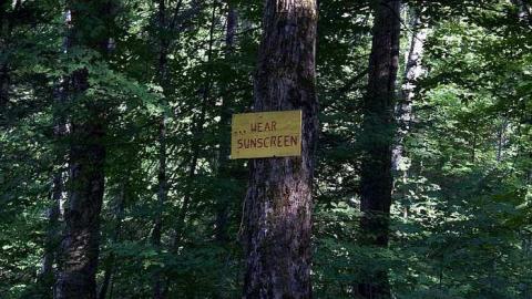 Wrong Turn - TTC-Stop8.jpg