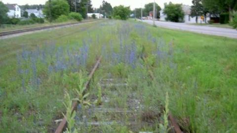 Pontypool Station - Pontypool-Grain-Elevator34.jpg