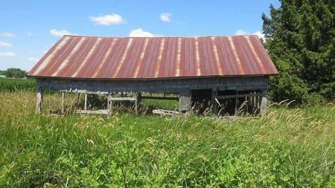 Photo from Stone Cold Beauty