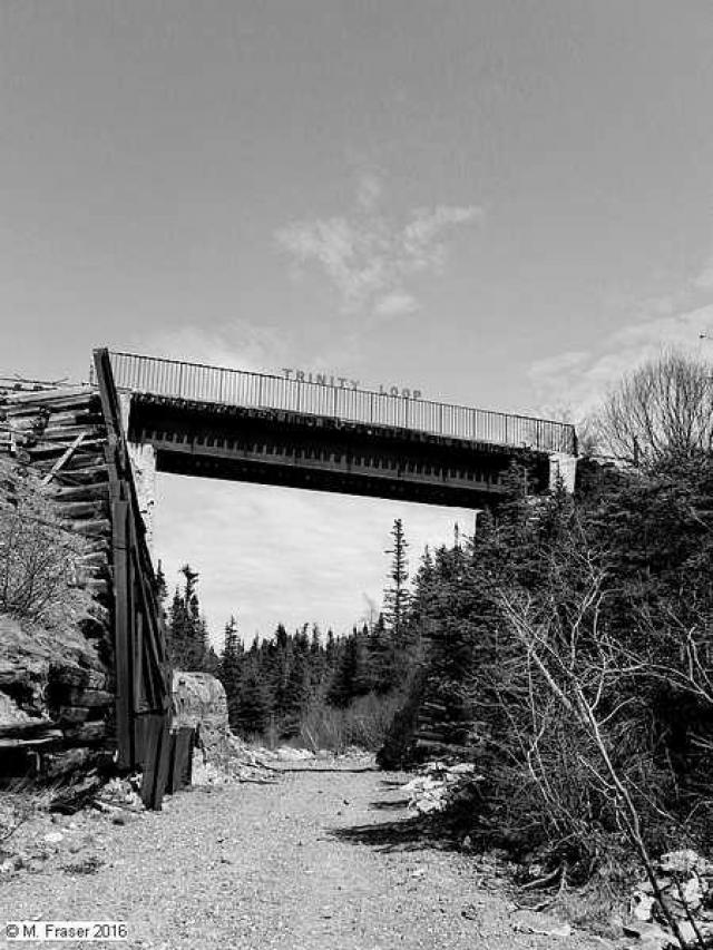 Trinity Loop photo 3