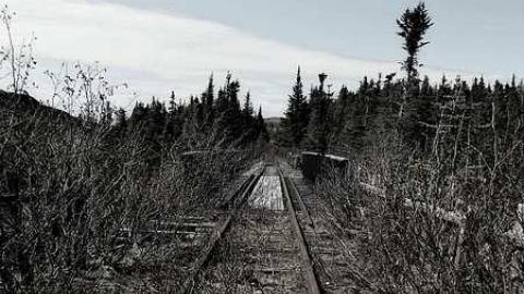 Trinity Loop - Trinity-Loop19.jpg