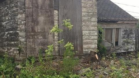 Photo from July 2016