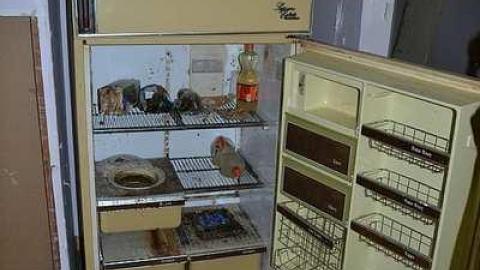 July 2016 - DSC_0285.jpg