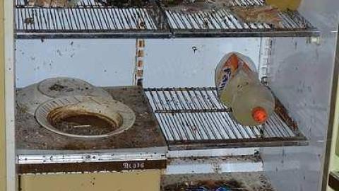 July 2016 - DSC_0286.jpg