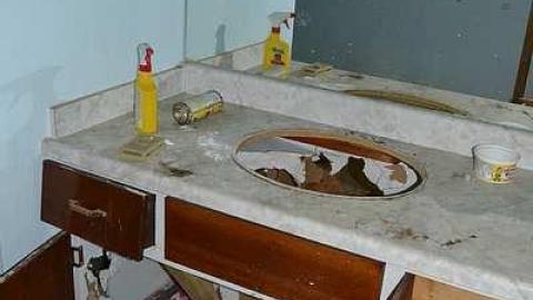 July 2016 - DSC_0290.jpg