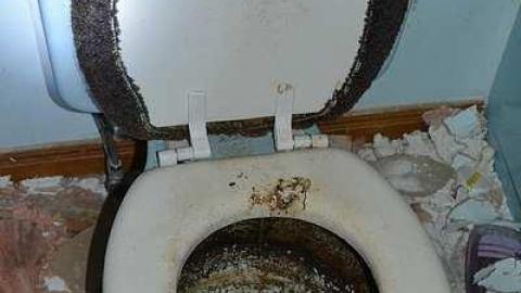 July 2016 - DSC_0292.jpg