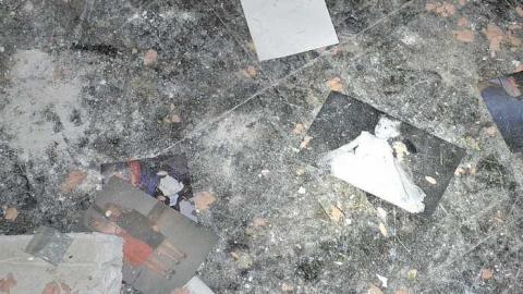 July 2016 - DSC_0297.jpg