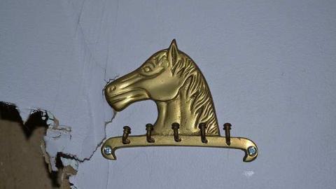 July 2016 - DSC_0299.jpg