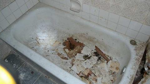 July 2016 - DSC_0320.jpg