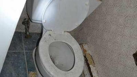 July 2016 - DSC_0321.jpg